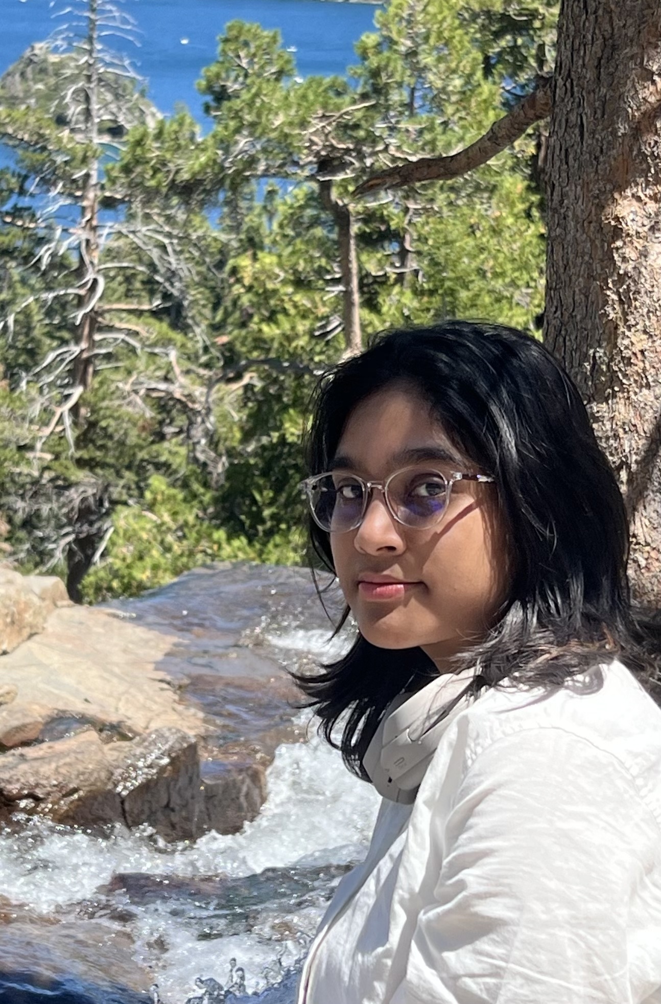 Nava Choudhury portrait